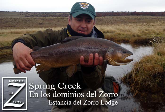 Spring Creek - En los dominios del Zorro - Estancia del Zorro Lodge