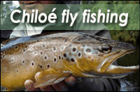 Chiloé Fly Fishing - Consulta por tú viaje aquí