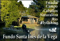 Fundo Santa In�s de la Vega - R�o Maull�n