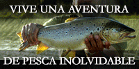 Alto R�o Pescado: Ecofishing y Aventuras Puerto Varas - Chile 