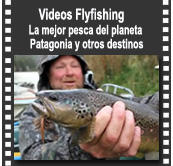 Videos de pesca con mosca en las aguas de la Patagonia y otros destinos