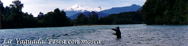 www.lavaguada.cl  -   Artculos, Notas, Historias y Reportajes