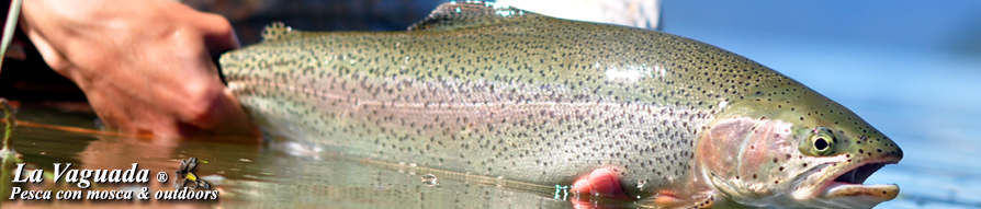 La Vaguada - Fly Fishing, Outdoors & Outfitters