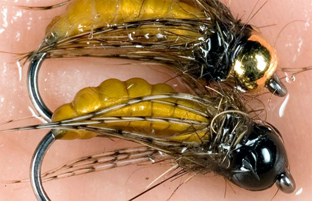 Moscas: Caddis Pupa, Larva 