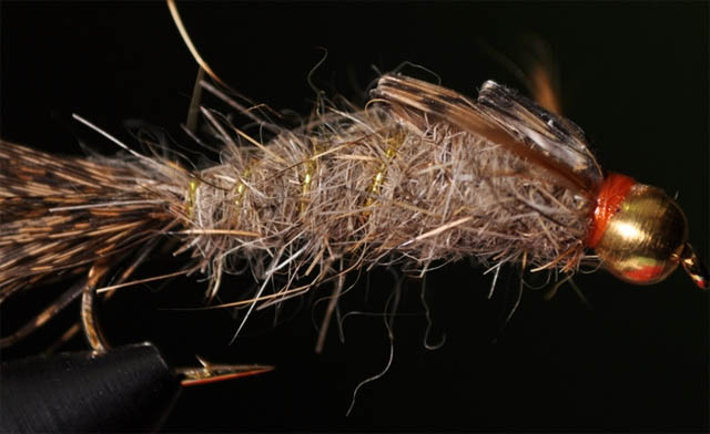 Moscas: Hares ear Ston Fly, Ninfa 