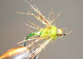 Bio Bio Caddis Emerger