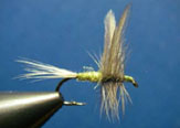 Catskill Blue Winged Oliva