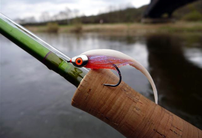 Una mirada cerca a los Fish Skull