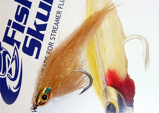 Una mirada cerca a los Fish Skull