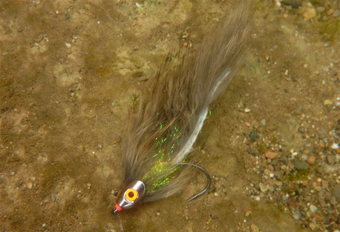 Una mirada cerca a los Fish Skull