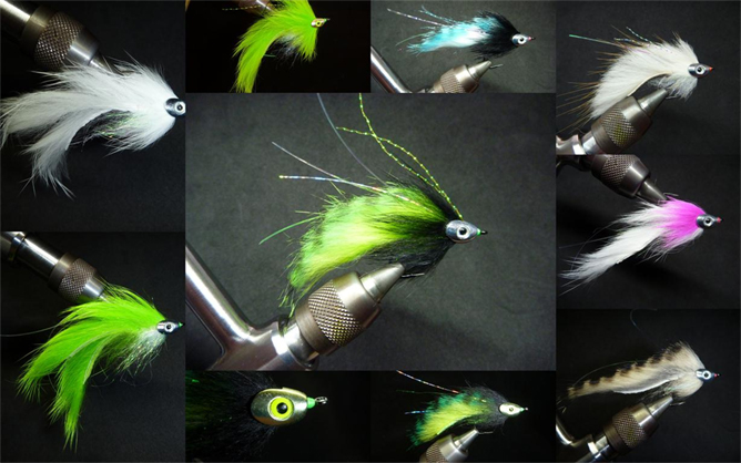 Una mirada cerca a los Fish Skull