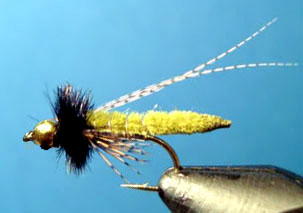 Fox Poopah Caddis Emergente