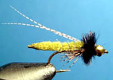 Fox Poopah Caddis Emergente