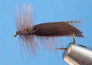 Hemingway Caddis