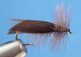 Hemingway Caddis