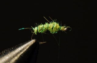 Green Ice Dub Caddis.