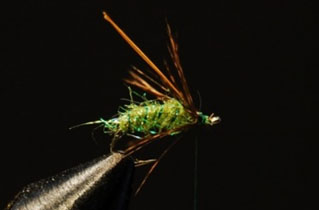 Green Ice Dub Caddis.