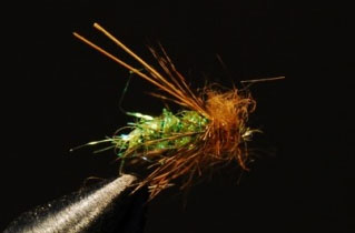 Green Ice Dub Caddis.