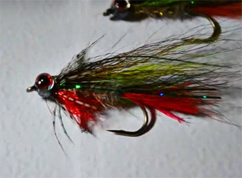 Modern Bucktail Streamer