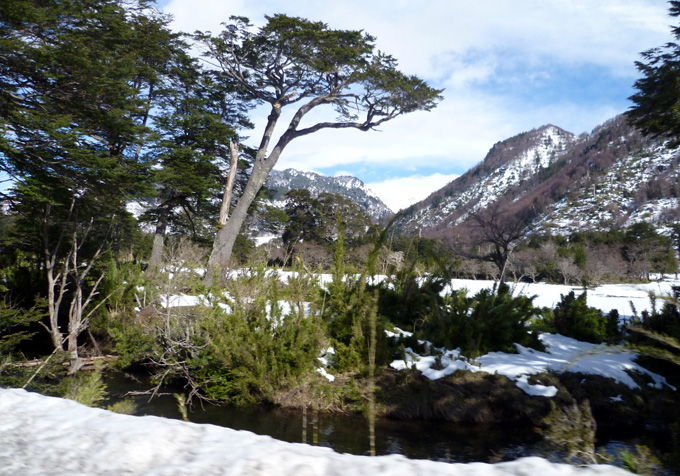 Entrega de ayuda Lonquimay invierno 2011