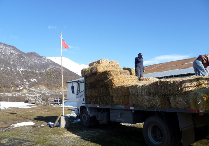 Entrega de ayuda Lonquimay invierno 2011