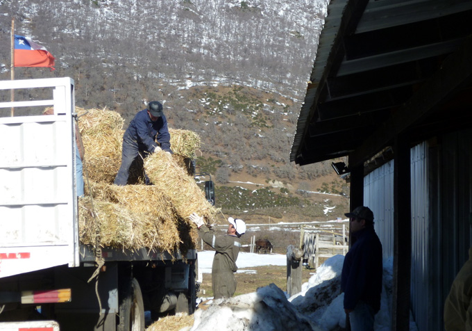 Entrega de ayuda Lonquimay invierno 2011