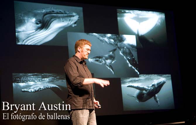 Bryant Austin. El fotgrafo de ballenas