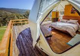 Gayana Ecolodge: para perderse en la Selva Valdiviana
