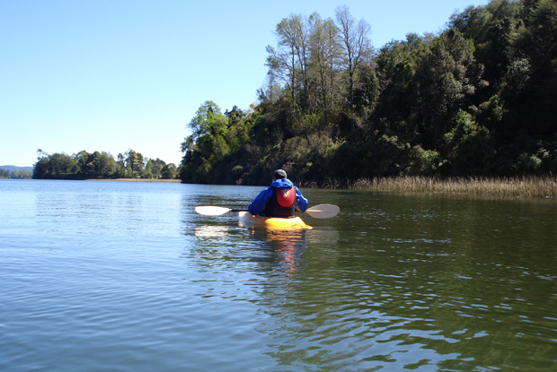 Alfonso de los Reyes flotando las aguas cercanas a Valdivia