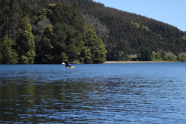 Alfonso de los Reyes flotando las aguas cercanas a Valdivia