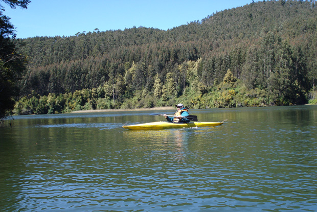 Ricardo Ordoez en una travesa  las aguas cercanas a Valdivia