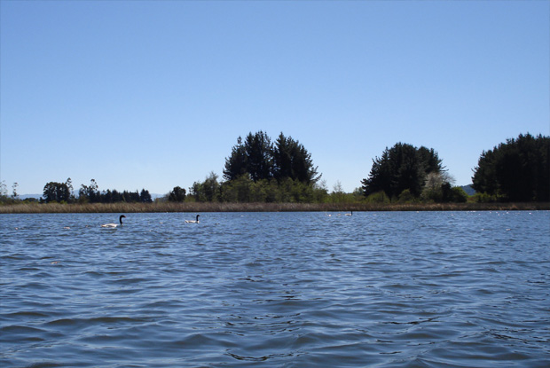 Los paisajes de los ros cercanos a Valdivia