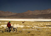 Entrevista a Gabriel Benoit y su visión del Parque Lauca.