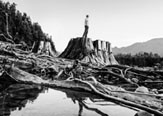 Patagonia Abre Postulaciones a su Programa de Donaciones Ambientales