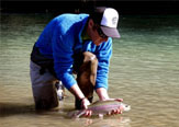 Aitue – La Mágica Experiencia de Pescar en Chile Pesca con Mosca y Conservación n de la Naturaleza.