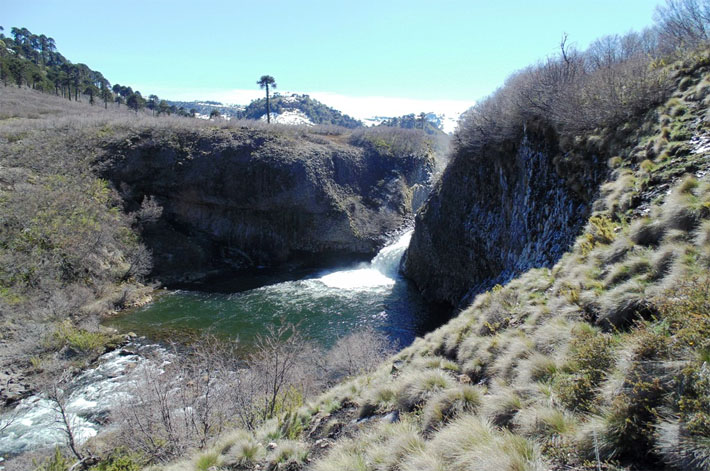Lonquimay, All Mountain Fishing experience