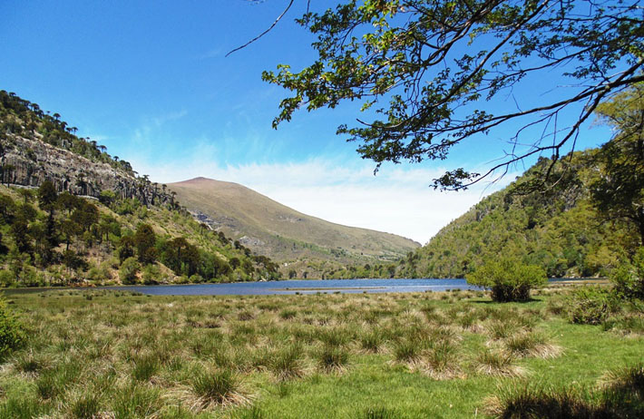 Lonquimay, All Mountain Fishing experience