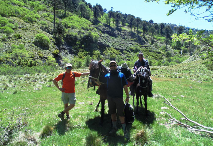 Lonquimay, All Mountain Fishing experience
