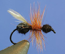 Flying Ant