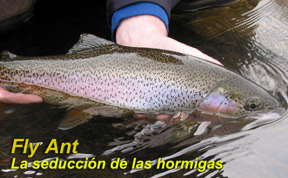 Fly Ant - La seducción de la hormigas