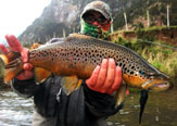 Trazo General de los Ríos de Aysén y sus Peces