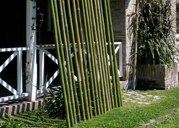 Caas de bamboo, Entrevista a Marcelo Calviello - RodMaker
