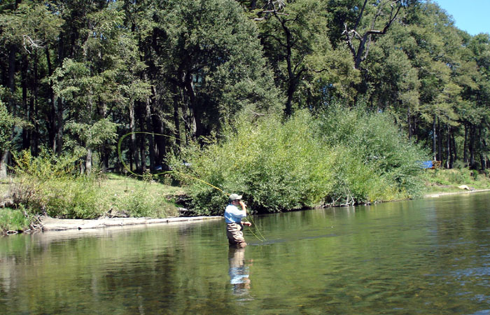 Del Prado Bamboo Fly Rods, Pescando con Bamb