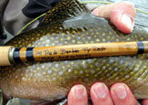Del Prado Bamboo Fly Rods, Pescando con Bambú.