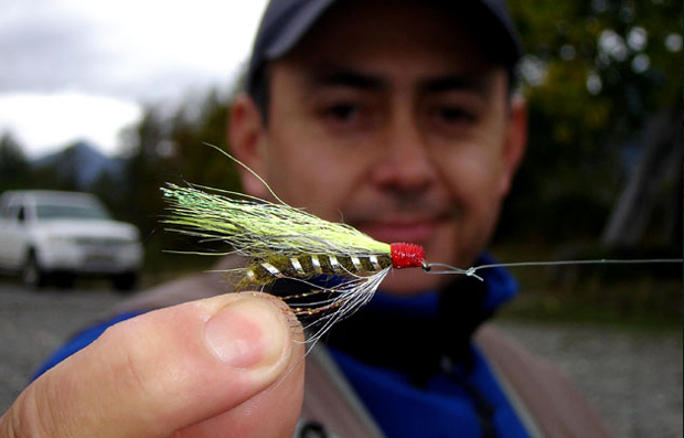Un muy "mordido" y productivo Streamer del tipo Bucktail utilizado en el río Calcurrupe