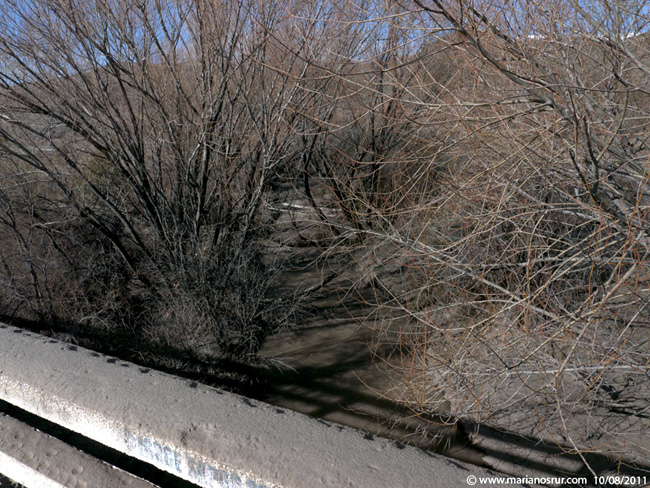Relevamiento fotogrfico de la cuenca del Limay Medio