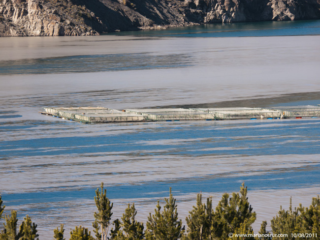 Relevamiento fotogrfico de la cuenca del Limay Medio