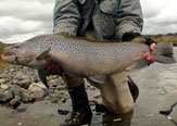 10 razones para visitar Cameron Lodge, Tierra del Fuego, Río Grande Chile