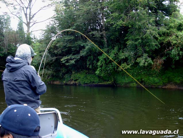 Fly Fishing Chilo, pescando en la tierra de los mitos