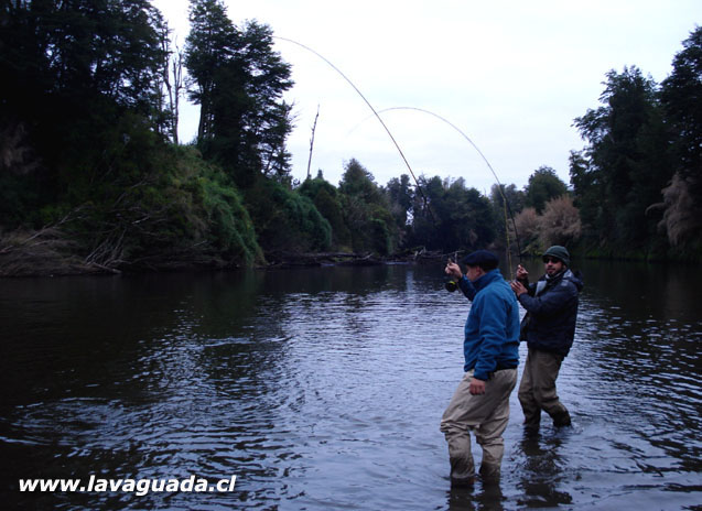 Fly Fishing Chilo, pescando en la tierra de los mitos